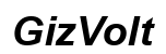 GizVolt